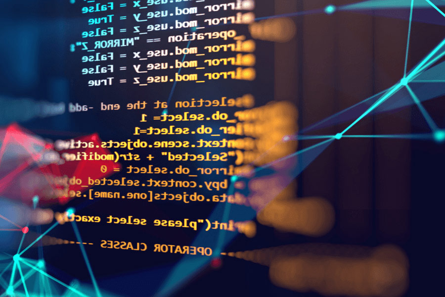 customer software development