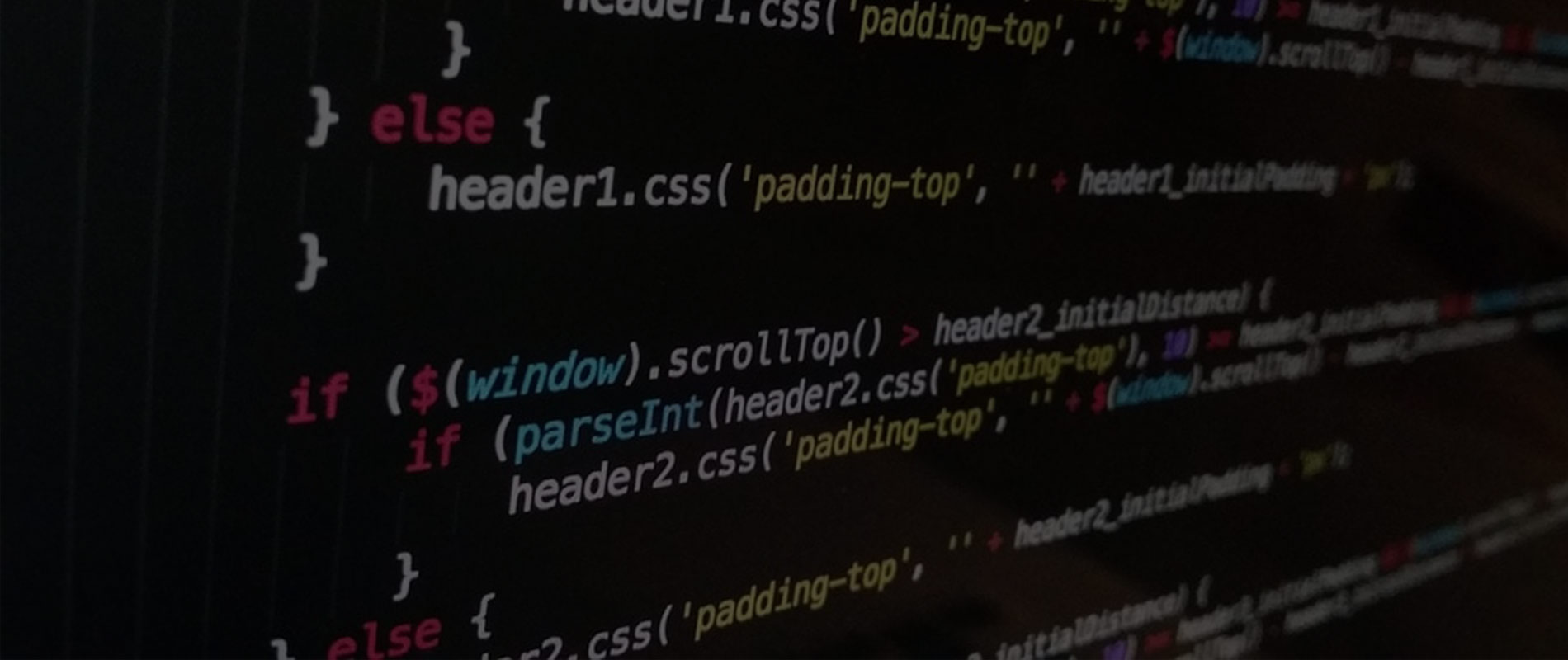 Custom Software Development